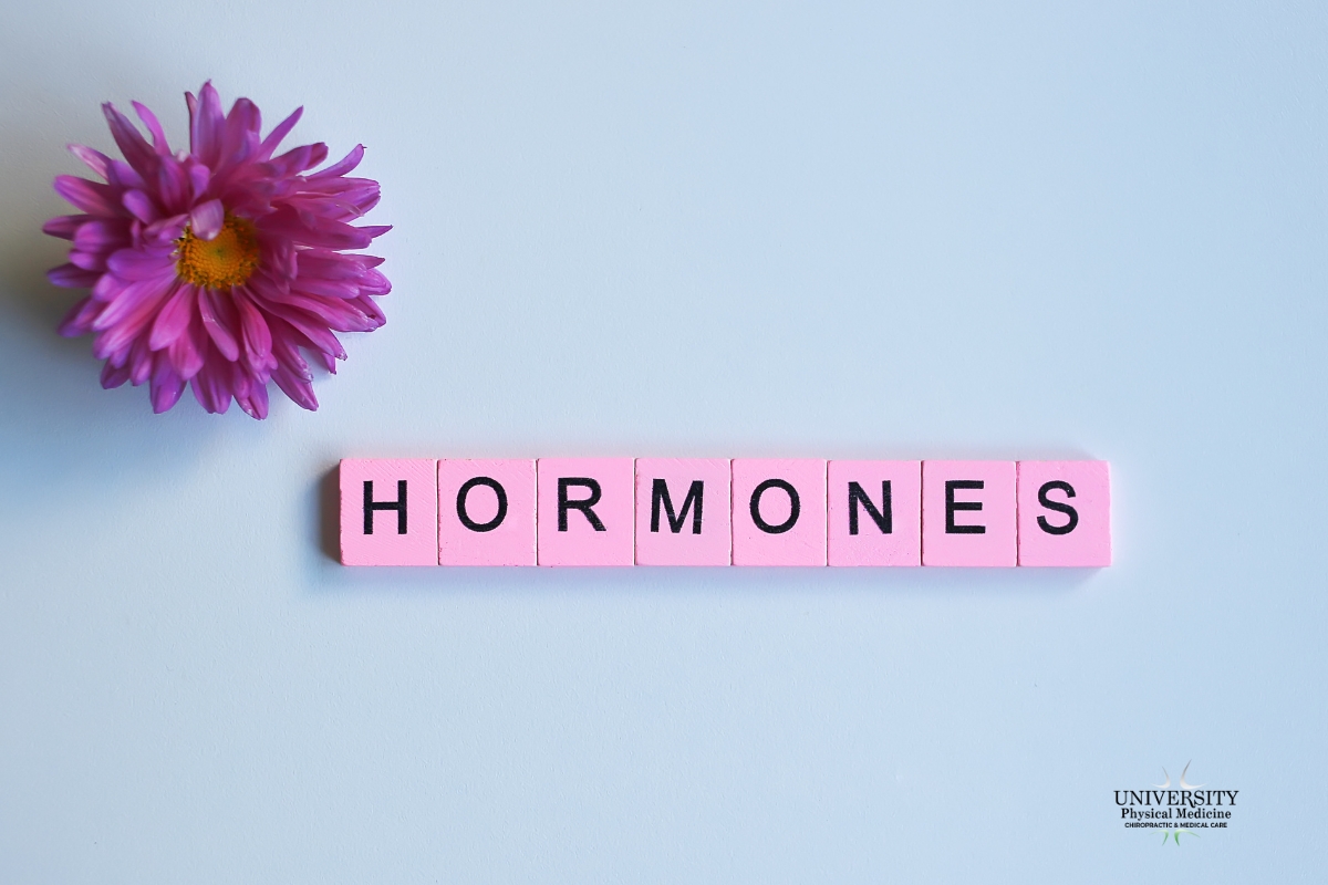 Low Energy, Brain Fog, and Low Drive: Is Hormone Imbalance the Cause? What Tallahassee Adults Need to Know